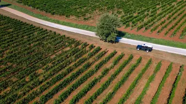 Roxanich Winery & Design Hotel