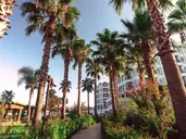 Royal Atlantis Beach