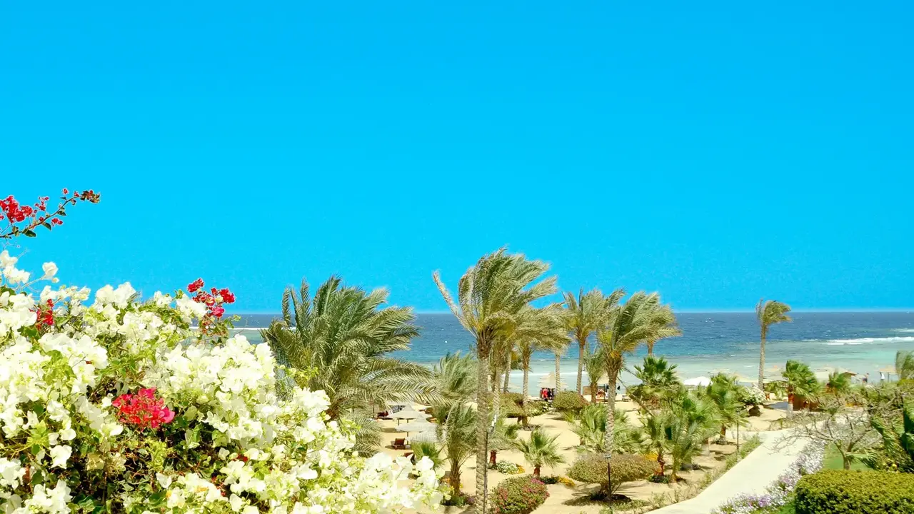 Royal Brayka Resort