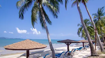 ROYAL CLIFF BEACH TERRACE