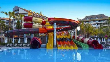 Royal Dragon Side