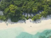 ROYAL ISLAND