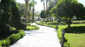 Royal Monte Carlo