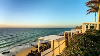 Royal Palm Resort Spa Adults Only