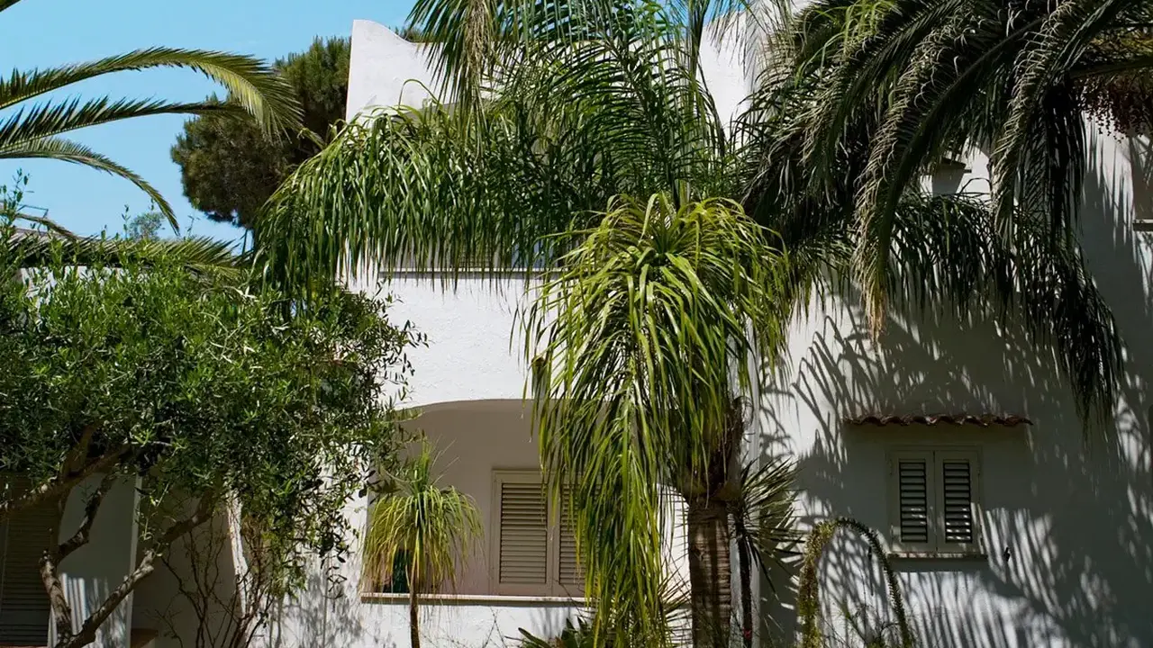 Royal Palm
