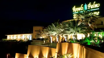 Royal Palm