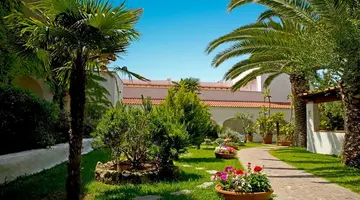 Royal Palm
