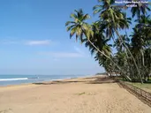 Royal Palms Beach Hotel