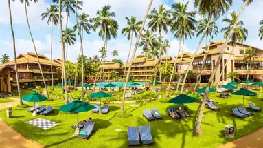 Royal Palms