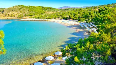 Royal Paradise Beach Resort & Spa