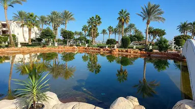 Royal Regency Club Sharm El Sheikh