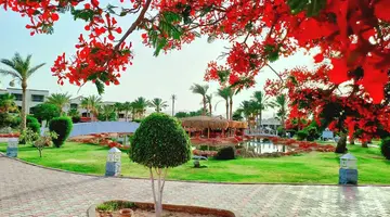 Royal Regency Club