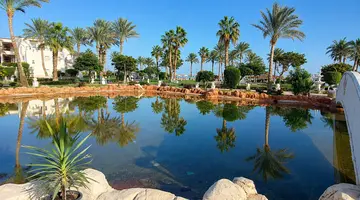 ROYAL REGENCY CLUB
