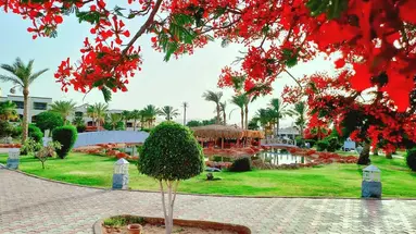 Royal Regency Club