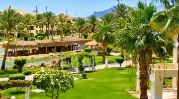 ROYAL REGENCY CLUB