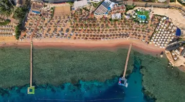 ROYAL SAVOY