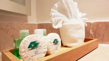 Royal Solaris Cancun