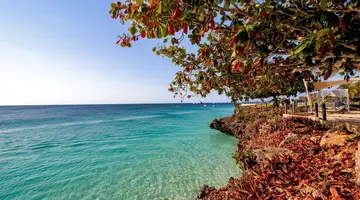 Royal Zanzibar Beach Resort