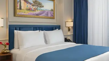 Royan Hotel Hagia Sophia Istanbul, a member of Radisson Individuals