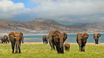 RPA, Botswana, Zimbabwe - Wyprawa do Wodospadów Wiktorii