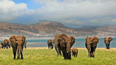 RPA, Botswana, Zimbabwe - Wyprawa do Wodospadów Wiktorii