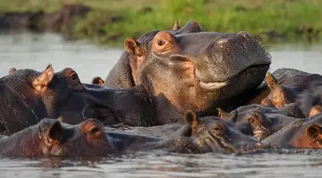 RPA, Botswana, Zimbabwe - Wyprawa do Wodospadów Wiktorii