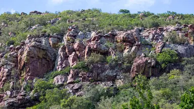 RPA, Botswana, Zimbabwe - Wyprawa do Wodospadów Wiktorii