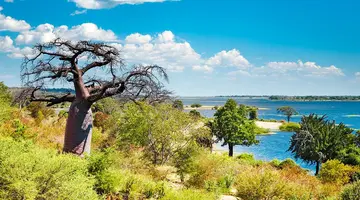 RPA - Wodospady Wiktorii - Botswana 10 nocy