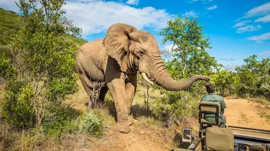 RPA - Wodospady Wiktorii - Botswana 10 nocy