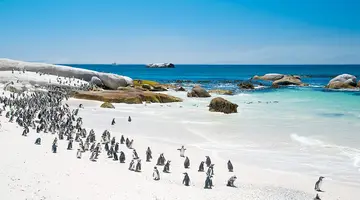 RPA - Wodospady Wiktorii - Botswana 10 nocy