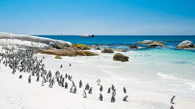 RPA - Wodospady Wiktorii - Botswana 10 nocy