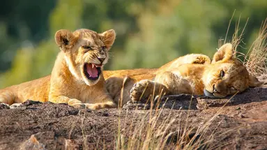 RPA - Wodospady Wiktorii - Botswana 10 nocy