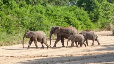 RPA - Zimbabwe (Wodospady Wiktorii) - Botswana