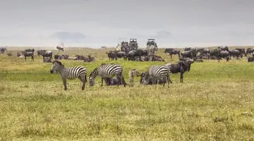 RPA - Zimbabwe (Wodospady Wiktorii) - Botswana