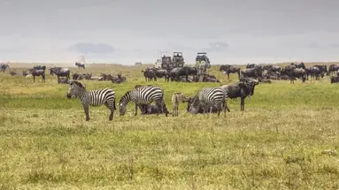 RPA - Zimbabwe (Wodospady Wiktorii) - Botswana