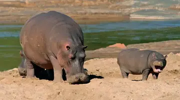 RPA - Zimbabwe (Wodospady Wiktorii) - Botswana