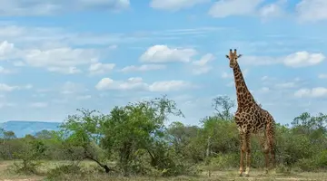 RPA - Zimbabwe (Wodospady Wiktorii) - Botswana
