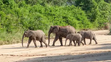 RPA - Zimbabwe (Wodospady Wiktorii) - Botswana