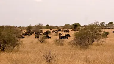 RPA - Zimbabwe (Wodospady Wiktorii) - Botswana