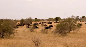 RPA - Zimbabwe (Wodospady Wiktorii) - Botswana