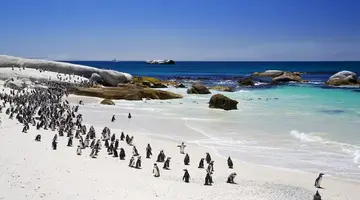 RPA - Zimbabwe (Wodospady Wiktorii) - Botswana