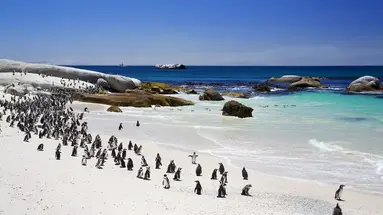 RPA - Zimbabwe (Wodospady Wiktorii) - Botswana