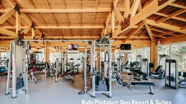 RUBI PLATINIUM SPA RESORT & SUITES
