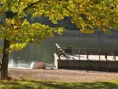 Ruissalo Spa