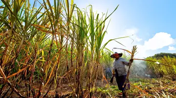 Rum, kawa, czekolada