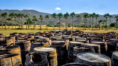 Rum, kawa, czekolada