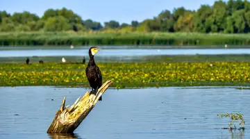 Rumunia, Mołdawia - Czarnomorska Mozaika