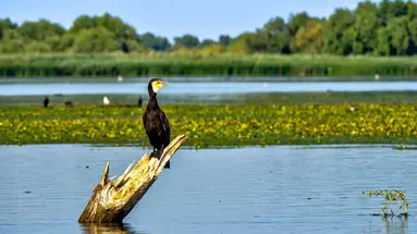 Rumunia, Mołdawia - Czarnomorska Mozaika