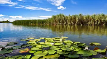 Rumunia, Mołdawia - Czarnomorska Mozaika