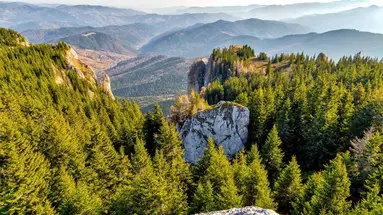 Rumunia - szlakiem hrabiego Drakuli nad Morze Czarne